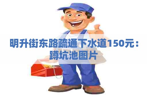 明升街东路疏通下水道150元：蹲坑池图片