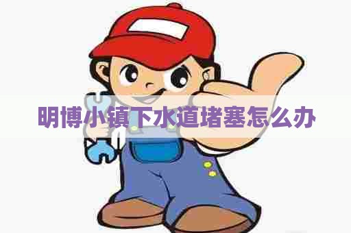 明博小镇下水道堵塞怎么办
