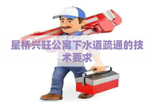 星桥兴旺公寓下水道疏通的技术要求