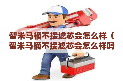 智米马桶不接滤芯会怎么样（智米马桶不接滤芯会怎么样吗）