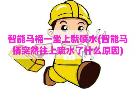 智能马桶一坐上就喷水(智能马桶突然往上喷水了什么原因) 智能马桶一坐上就喷水(智能马桶突然往上喷水了什么原因)