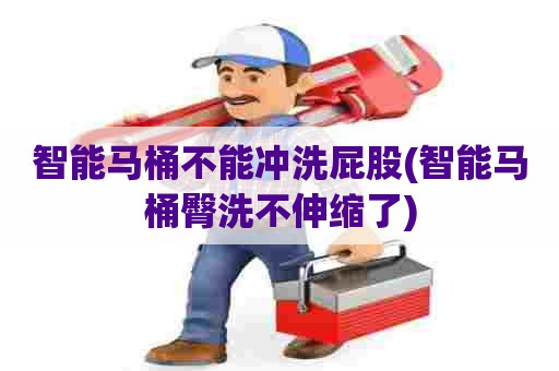 智能马桶不能冲洗屁股(智能马桶臀洗不伸缩了)