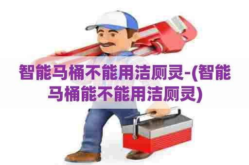 智能马桶不能用洁厕灵-(智能马桶能不能用洁厕灵)