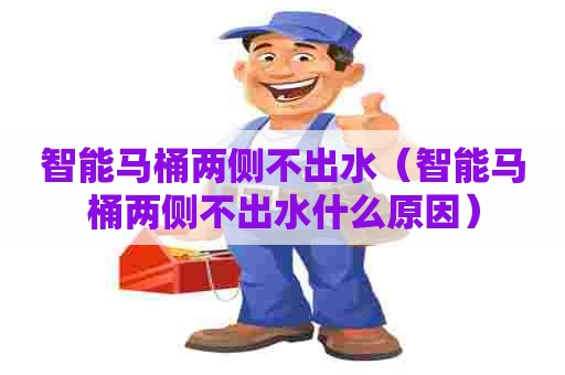 智能马桶两侧不出水（智能马桶两侧不出水什么原因）