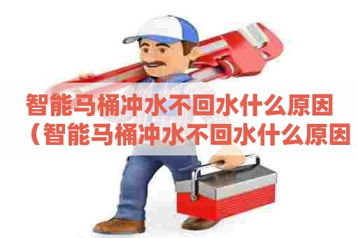 智能马桶冲水不回水什么原因（智能马桶冲水不回水什么原因造成的）
