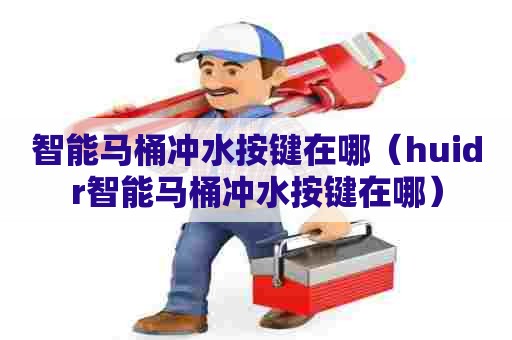 智能马桶冲水按键在哪（huidr智能马桶冲水按键在哪）