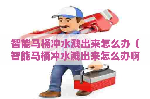 智能马桶冲水溅出来怎么办（智能马桶冲水溅出来怎么办啊）