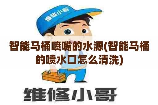 智能马桶喷嘴的水源(智能马桶的喷水口怎么清洗) 智能马桶喷嘴的水源(智能马桶的喷水口怎么清洗)