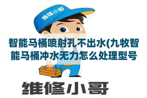 智能马桶喷射孔不出水(九牧智能马桶冲水无力怎么处理型号D6021L)