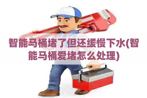 智能马桶堵了但还缓慢下水(智能马桶爱堵怎么处理) 智能马桶堵了但还缓慢下水(智能马桶爱堵怎么处理)