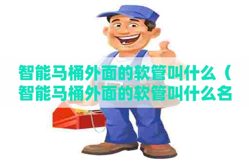 智能马桶外面的软管叫什么（智能马桶外面的软管叫什么名字）