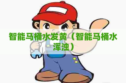 智能马桶水发黄（智能马桶水浑浊）