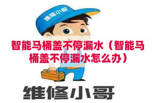 智能马桶盖不停漏水（智能马桶盖不停漏水怎么办）