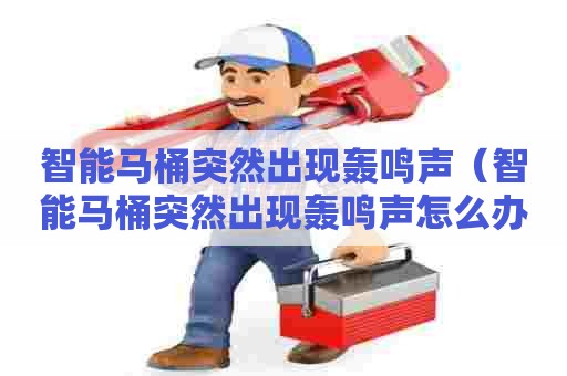 智能马桶突然出现轰鸣声（智能马桶突然出现轰鸣声怎么办）