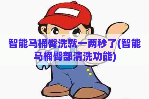 智能马桶臀洗就一两秒了(智能马桶臀部清洗功能)