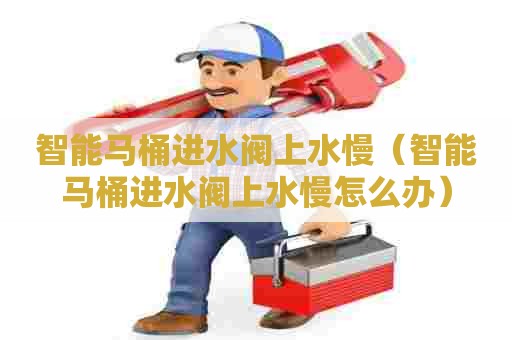 智能马桶进水阀上水慢（智能马桶进水阀上水慢怎么办）