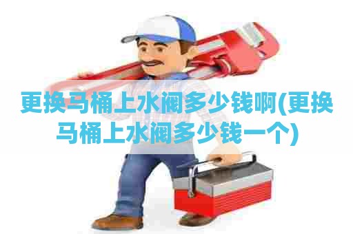 更换马桶上水阀多少钱啊(更换马桶上水阀多少钱一个) 更换马桶上水阀多少钱啊(更换马桶上水阀多少钱一个)