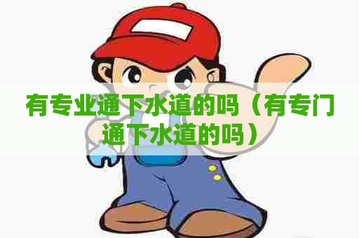 有专业通下水道的吗（有专门通下水道的吗）