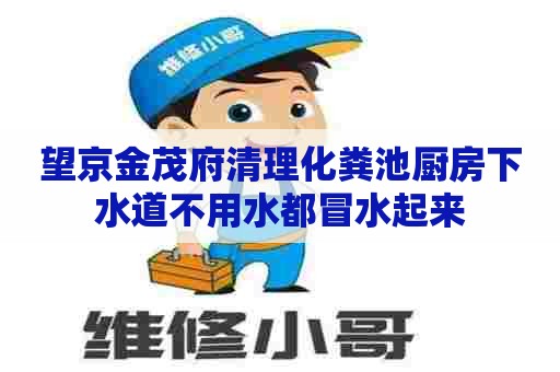 望京金茂府清理化粪池厨房下水道不用水都冒水起来