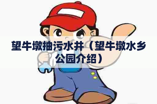 望牛墩抽污水井（望牛墩水乡公园介绍）