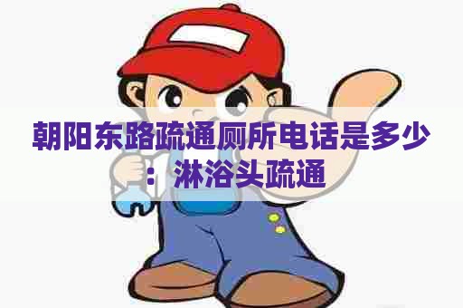 朝阳东路疏通厕所电话是多少：淋浴头疏通