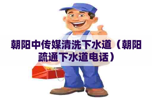 朝阳中传媒清洗下水道（朝阳疏通下水道电话）
