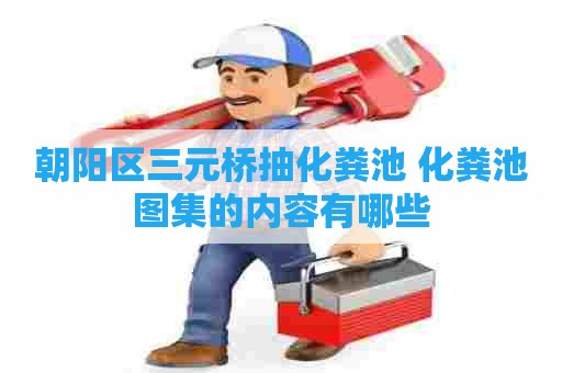 朝阳区三元桥抽化粪池 化粪池图集的内容有哪些