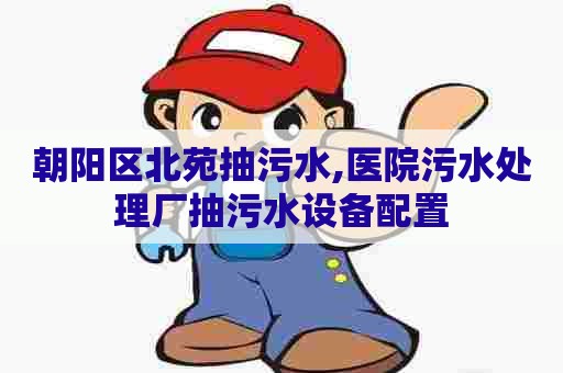 朝阳区北苑抽污水,医院污水处理厂抽污水设备配置 朝阳区北苑抽污水,医院污水处理厂抽污水设备配置