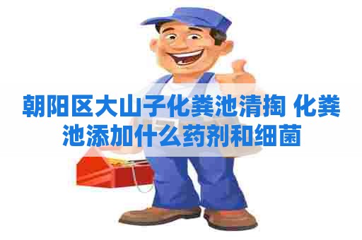 朝阳区大山子化粪池清掏 化粪池添加什么药剂和细菌