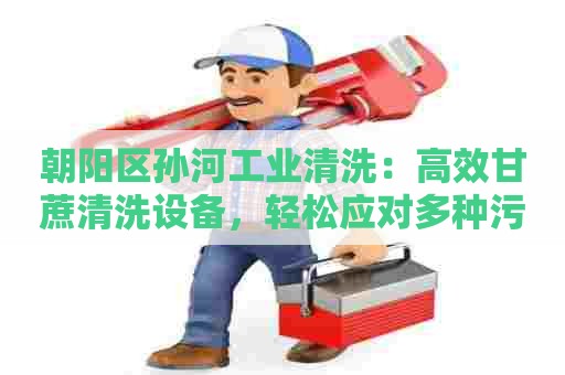 朝阳区孙河工业清洗：高效甘蔗清洗设备，轻松应对多种污渍！