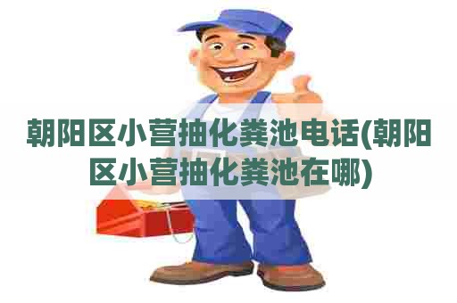 朝阳区小营抽化粪池电话(朝阳区小营抽化粪池在哪)