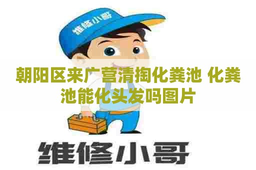 朝阳区来广营清掏化粪池 化粪池能化头发吗图片