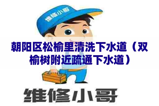 朝阳区松榆里清洗下水道(双榆树附近疏通下水道) 朝阳区松榆里清洗下水道(双榆树附近疏通下水道)