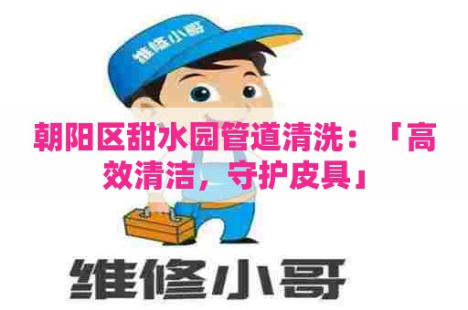 朝阳区甜水园管道清洗：「高效清洁，守护皮具」