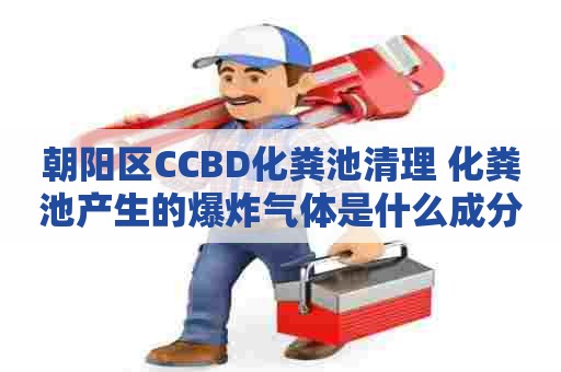 朝阳区CCBD化粪池清理 化粪池产生的爆炸气体是什么成分
