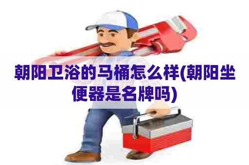 朝阳卫浴的马桶怎么样(朝阳坐便器是名牌吗)