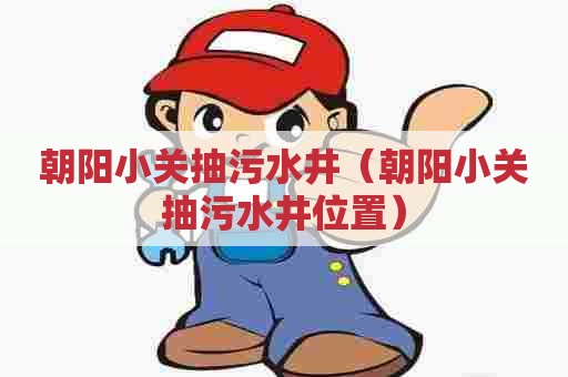 朝阳小关抽污水井(朝阳小关抽污水井位置) 朝阳小关抽污水井(朝阳小关抽污水井位置)