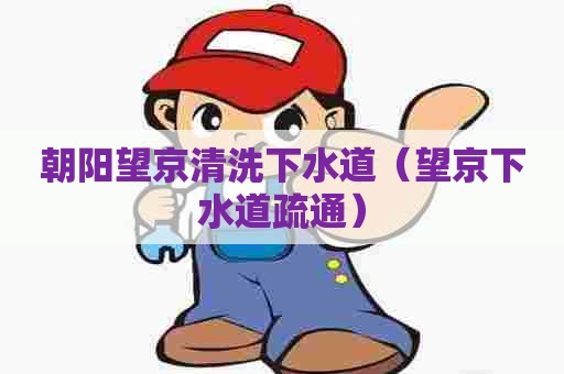 朝阳望京清洗下水道(望京下水道疏通) 朝阳望京清洗下水道(望京下水道疏通)
