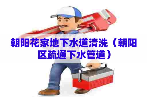 朝阳花家地下水道清洗(朝阳区疏通下水管道) 朝阳花家地下水道清洗(朝阳区疏通下水管道)
