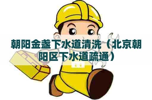 朝阳金盏下水道清洗（北京朝阳区下水道疏通）