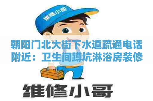 朝阳门北大街下水道疏通电话附近：卫生间蹲坑淋浴房装修