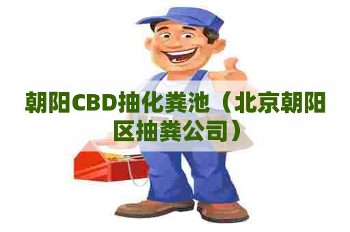 朝阳CBD抽化粪池（北京朝阳区抽粪公司）