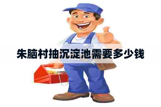 朱脑村抽沉淀池需要多少钱