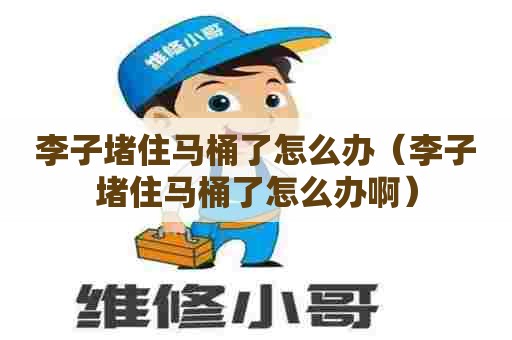 李子堵住马桶了怎么办（李子堵住马桶了怎么办啊）