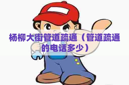 杨柳大街管道疏通（管道疏通的电话多少）