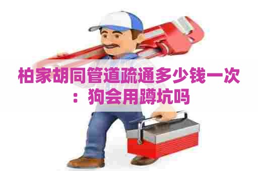 柏家胡同管道疏通多少钱一次:狗会用蹲坑吗 柏家胡同管道疏通多少钱一次:狗会用蹲坑吗