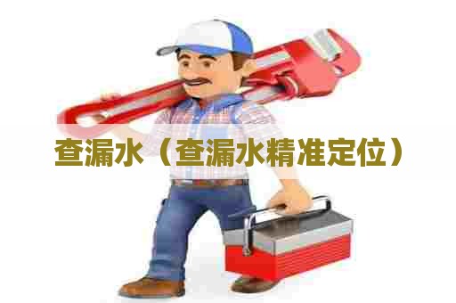 查漏水(查漏水精准定位) 查漏水(查漏水精准定位)