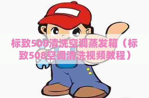 标致508清洗空调蒸发箱（标致508空调清洗视频教程）