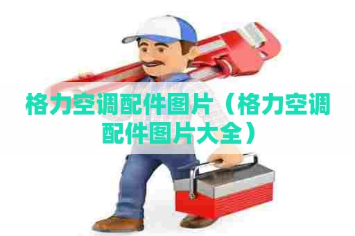格力空调配件图片（格力空调配件图片大全）