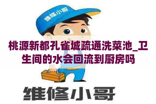 桃源新都孔雀城疏通洗菜池_卫生间的水会回流到厨房吗
